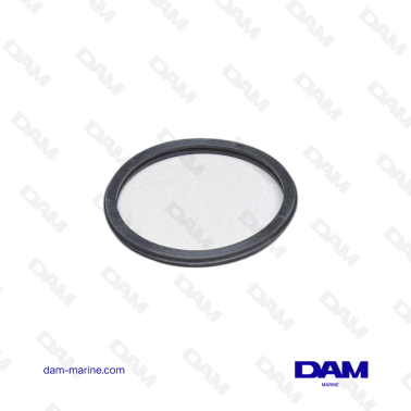 VOLVO THERMOSTAT GASKET