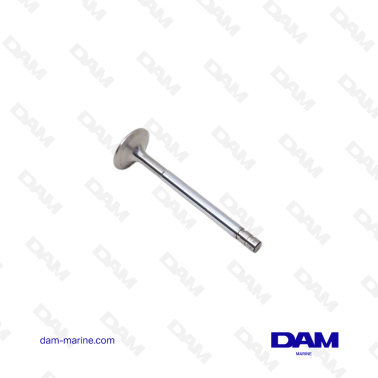 VOLVO INTAKE VALVE