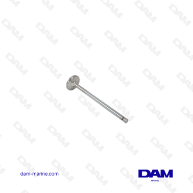 VOLVO INTAKE VALVE
