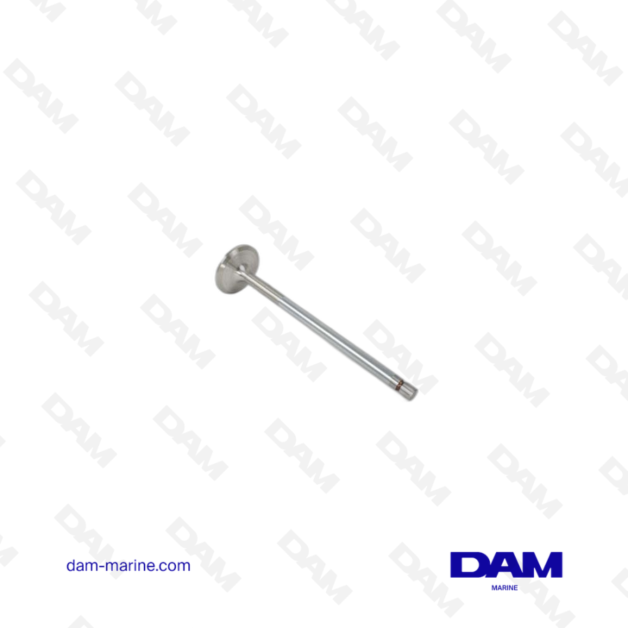VOLVO INTAKE VALVE