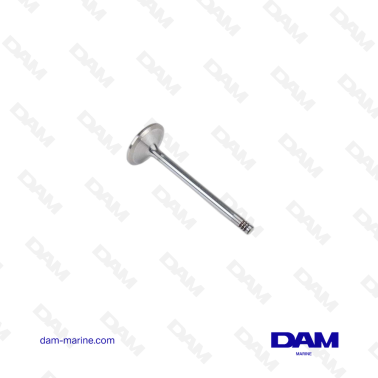 VOLVO INTAKE VALVE