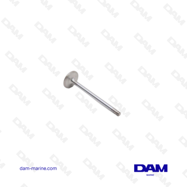 VOLVO INTAKE VALVE