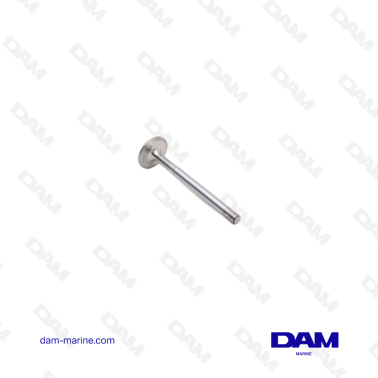 VOLVO INTAKE VALVE