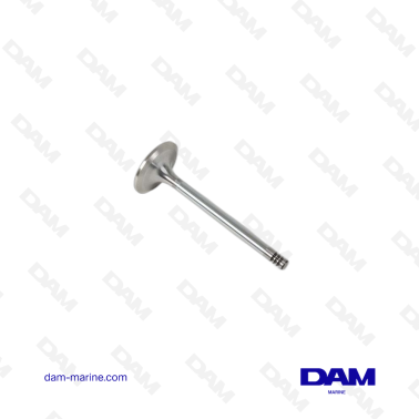VOLVO INTAKE VALVE