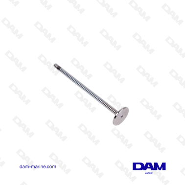VOLVO INTAKE VALVE