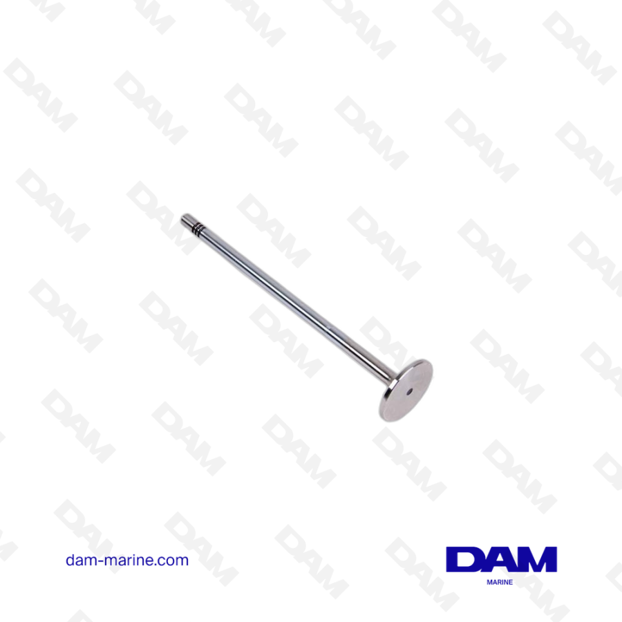 VOLVO INTAKE VALVE