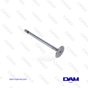 VOLVO INTAKE VALVE