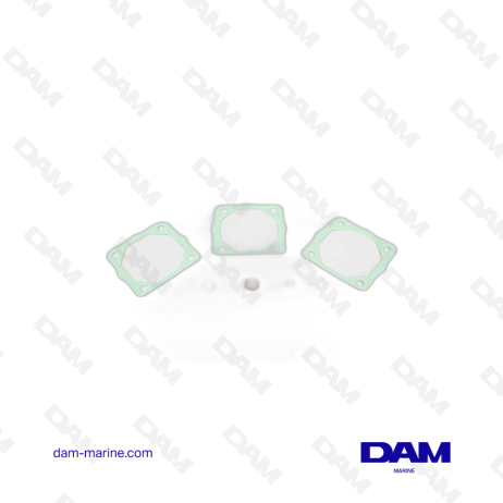 VOLVO INTAKE MANIFOLD GASKET KIT
