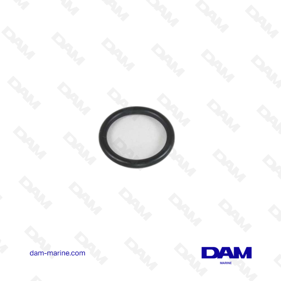 VOLVO O-RING