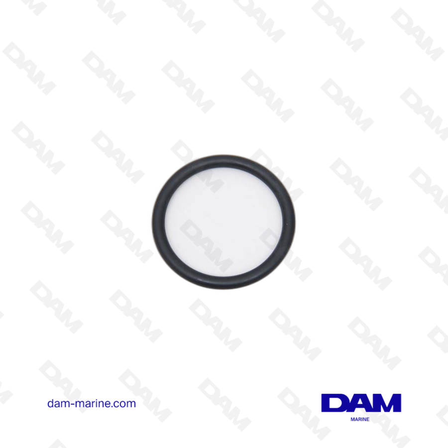 VOLVO O-RING