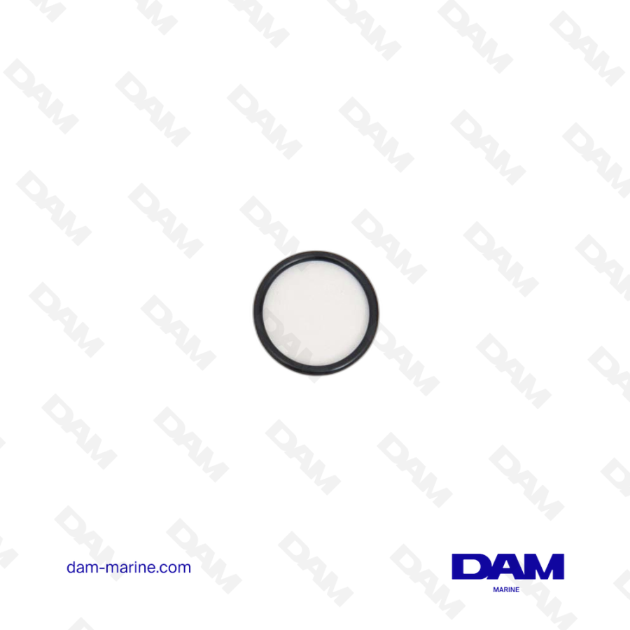 VOLVO O-RING