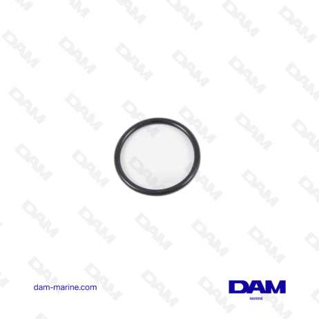 VOLVO O-RING