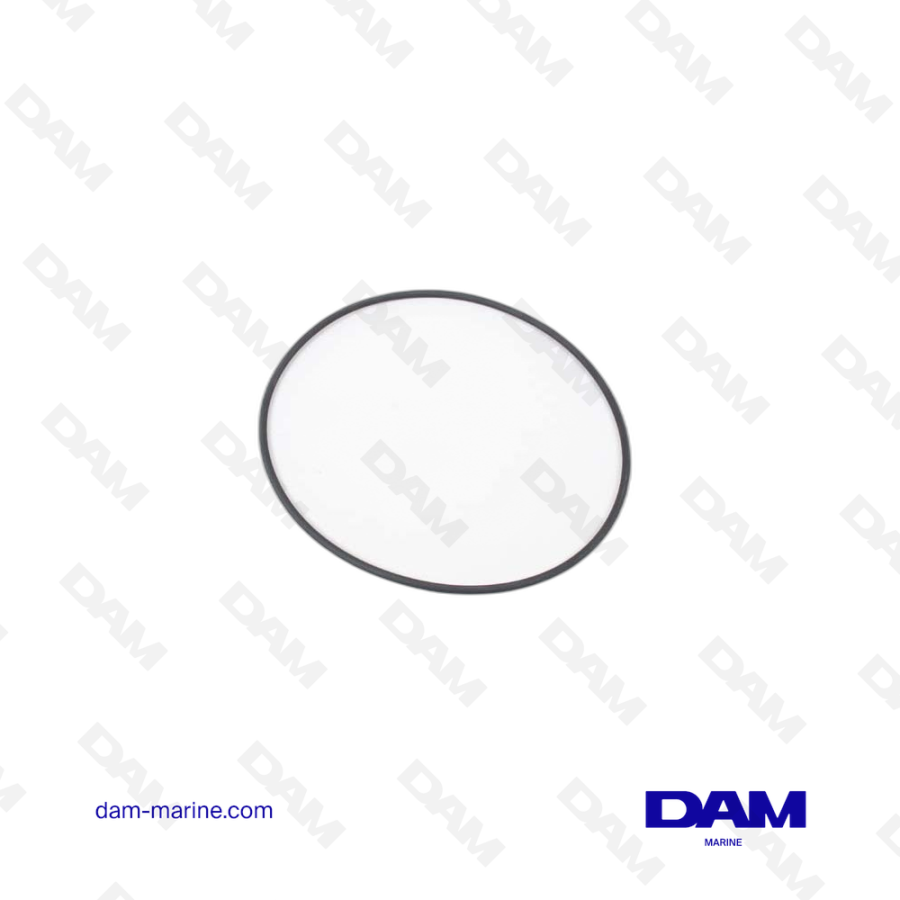 VOLVO O-RING
