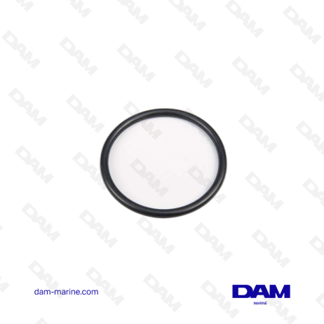 VOLVO O-RING