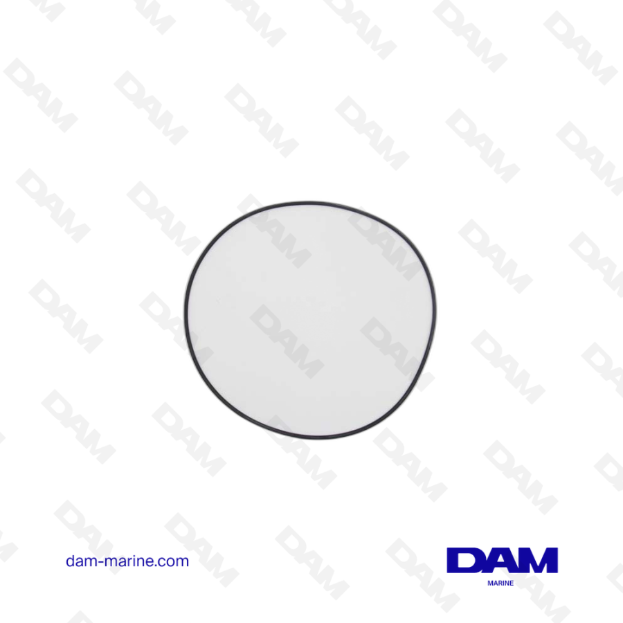 VOLVO O-RING