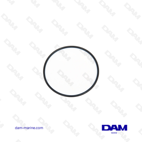 VOLVO O-RING