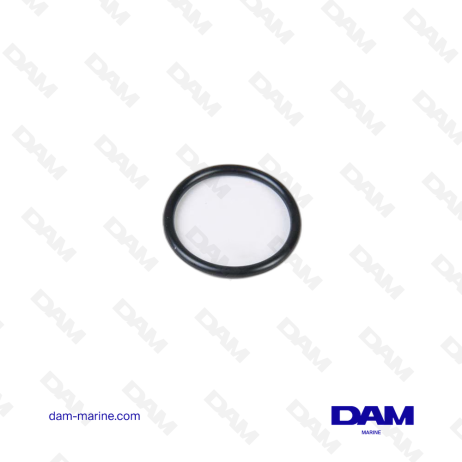 O-RING FOR VOLVO WATER PUMP