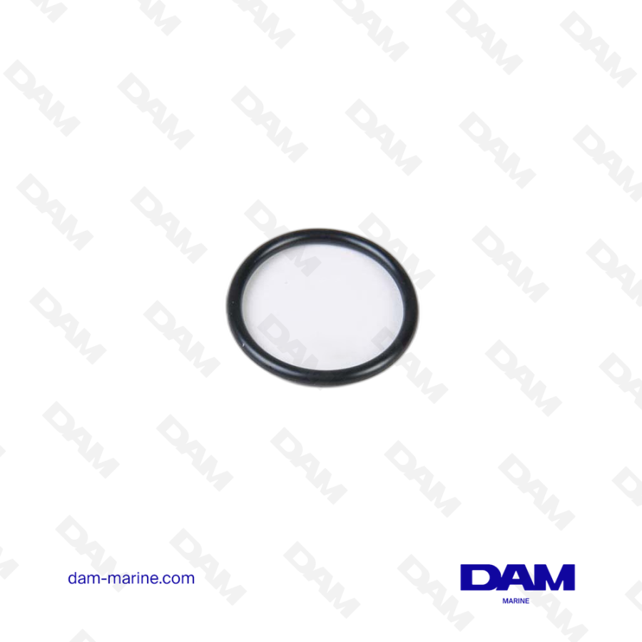 O-RING FOR VOLVO WATER PUMP