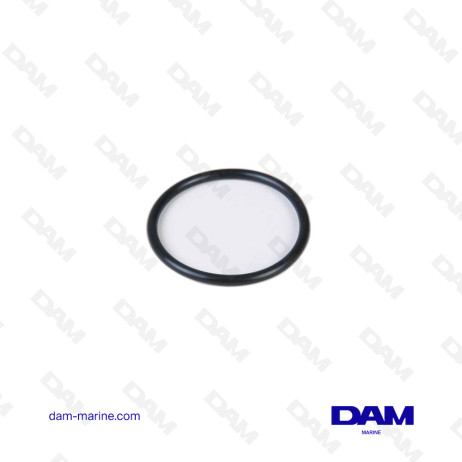 O-RING FOR VOLVO WATER PUMP
