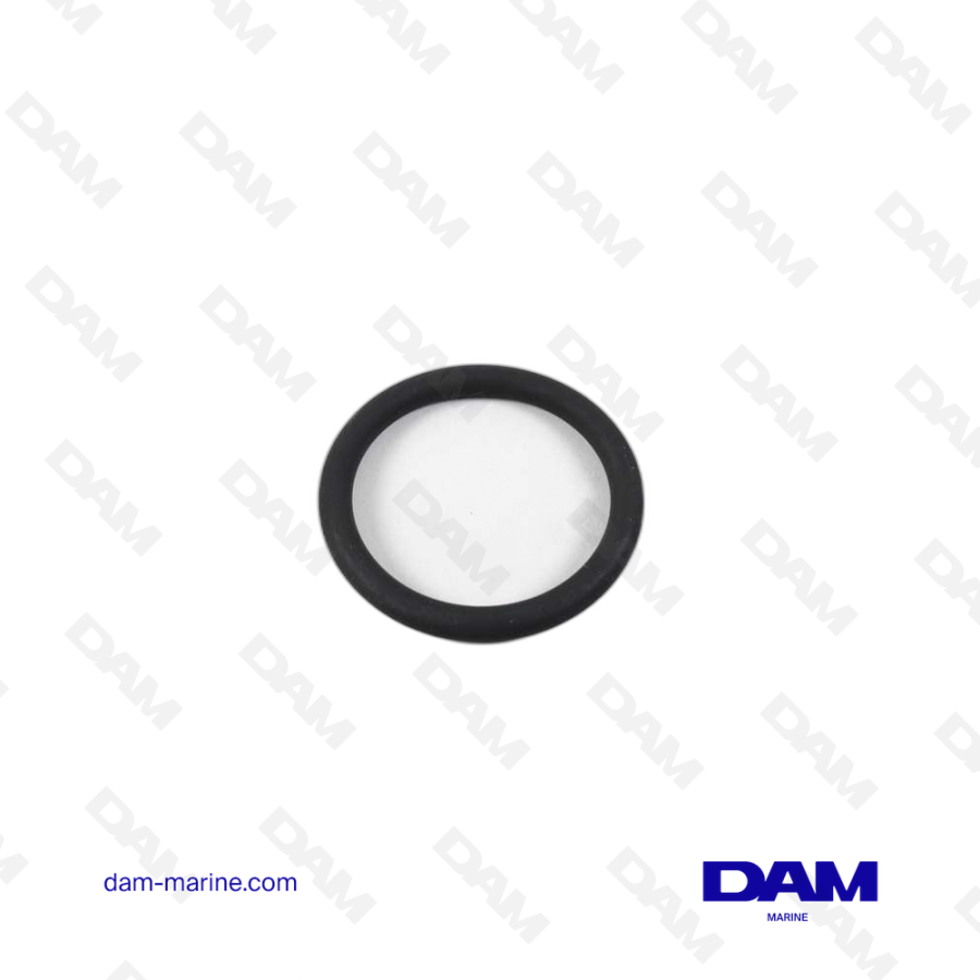 VOLVO O-RING