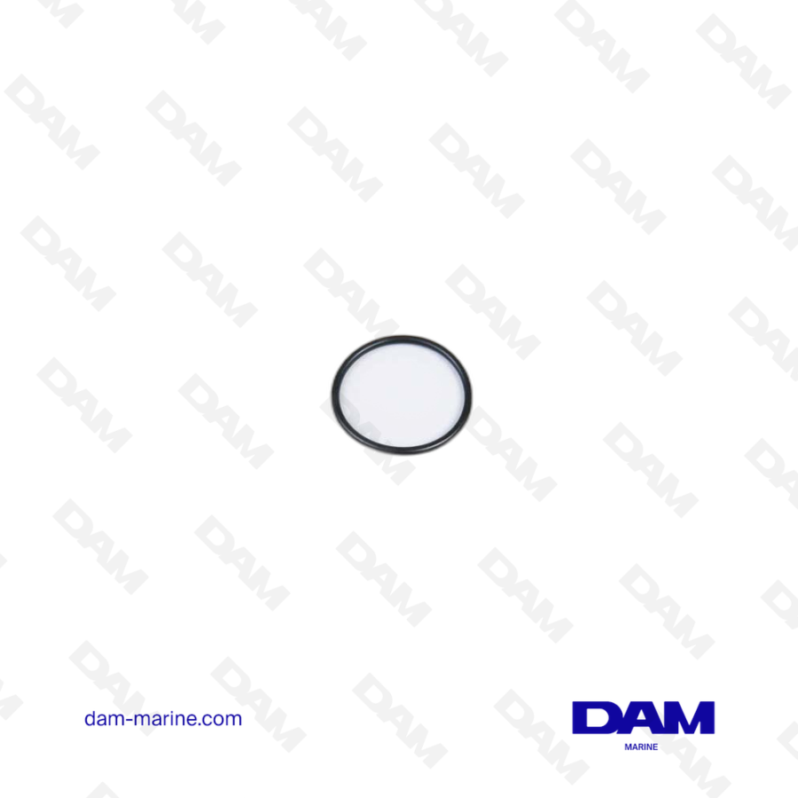 VOLVO O-RING