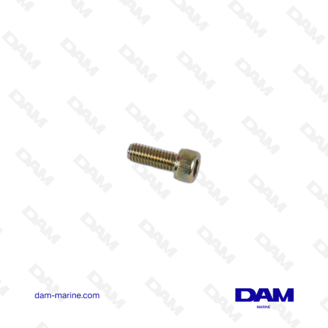 VOLVO SCREWS