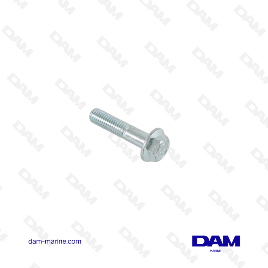 VOLVO FLANGE SCREW