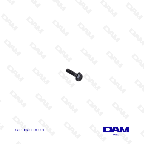 VOLVO FLANGE SCREW
