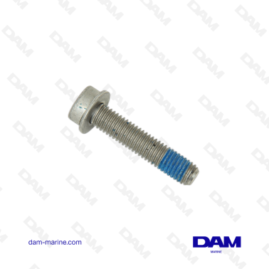 VOLVO SCREWS