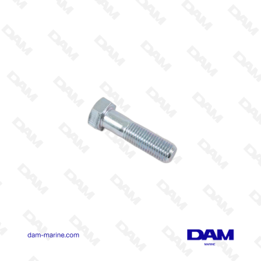 VOLVO SCREWS