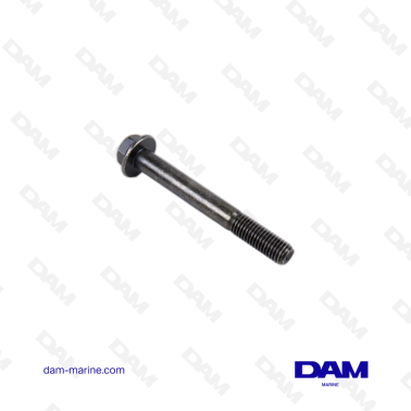 VOLVO FLANGE SCREW
