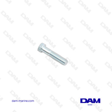 VOLVO EXHAUST MANIFOLD SCREW
