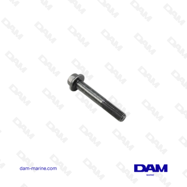 VOLVO FLANGE SCREW