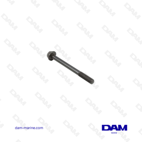 VOLVO SCREWS