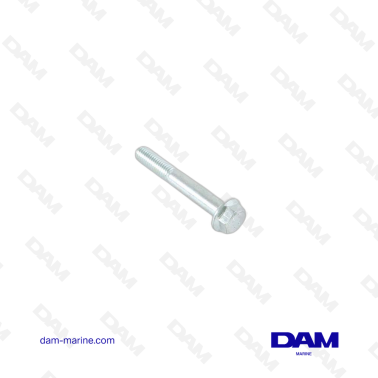 VOLVO FLANGE SCREW
