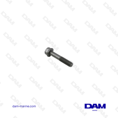VOLVO FLANGE SCREW