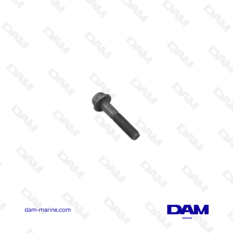 VOLVO FLANGE SCREW