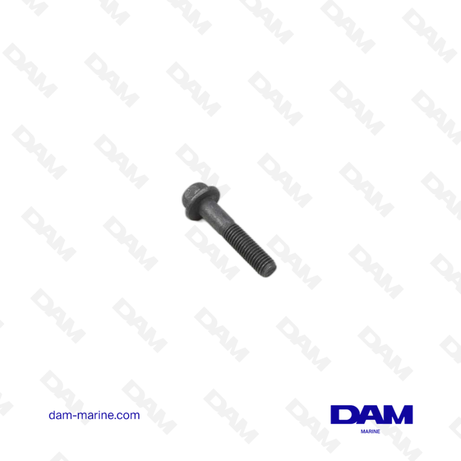 VOLVO FLANGE SCREW
