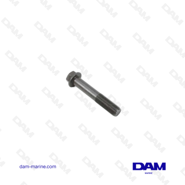 VOLVO FLANGE SCREW