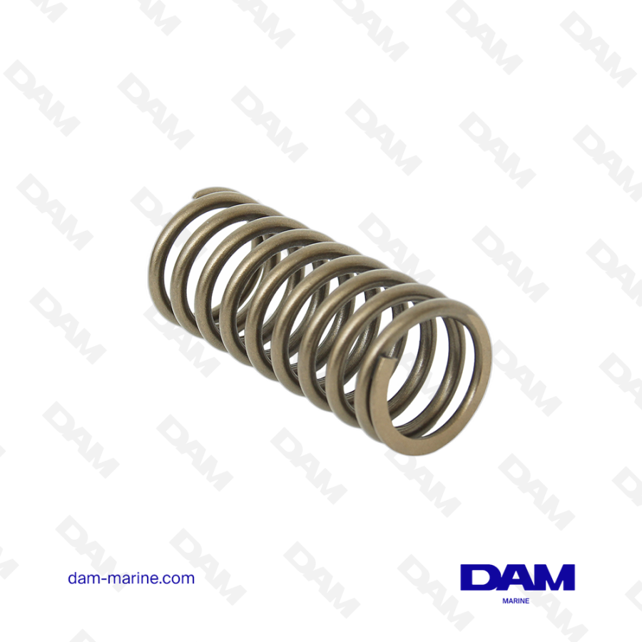 VOLVO VALVE SPRING