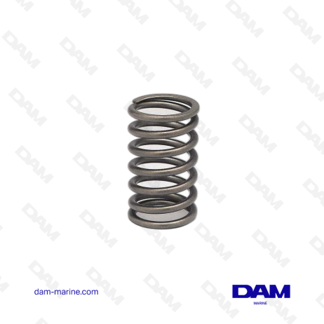 VOLVO VALVE SPRING