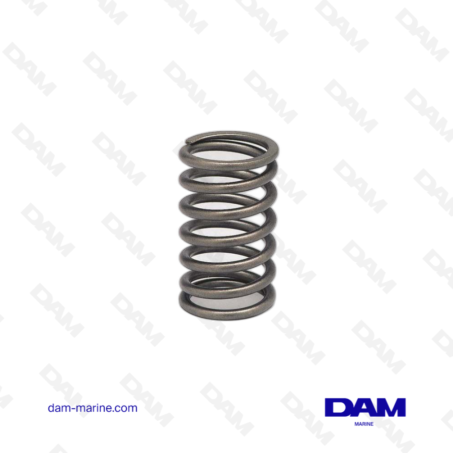 VOLVO VALVE SPRING