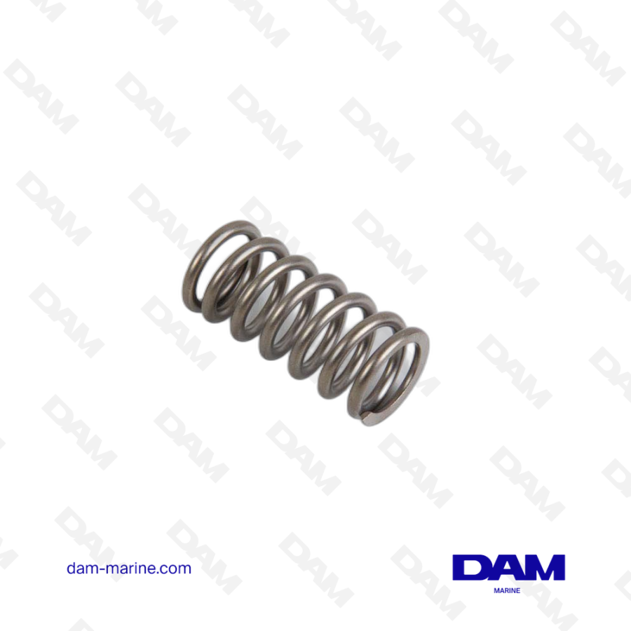 VOLVO VALVE SPRING