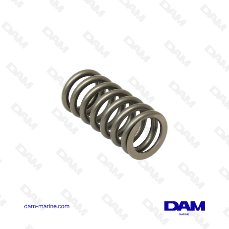 VOLVO VALVE SPRING