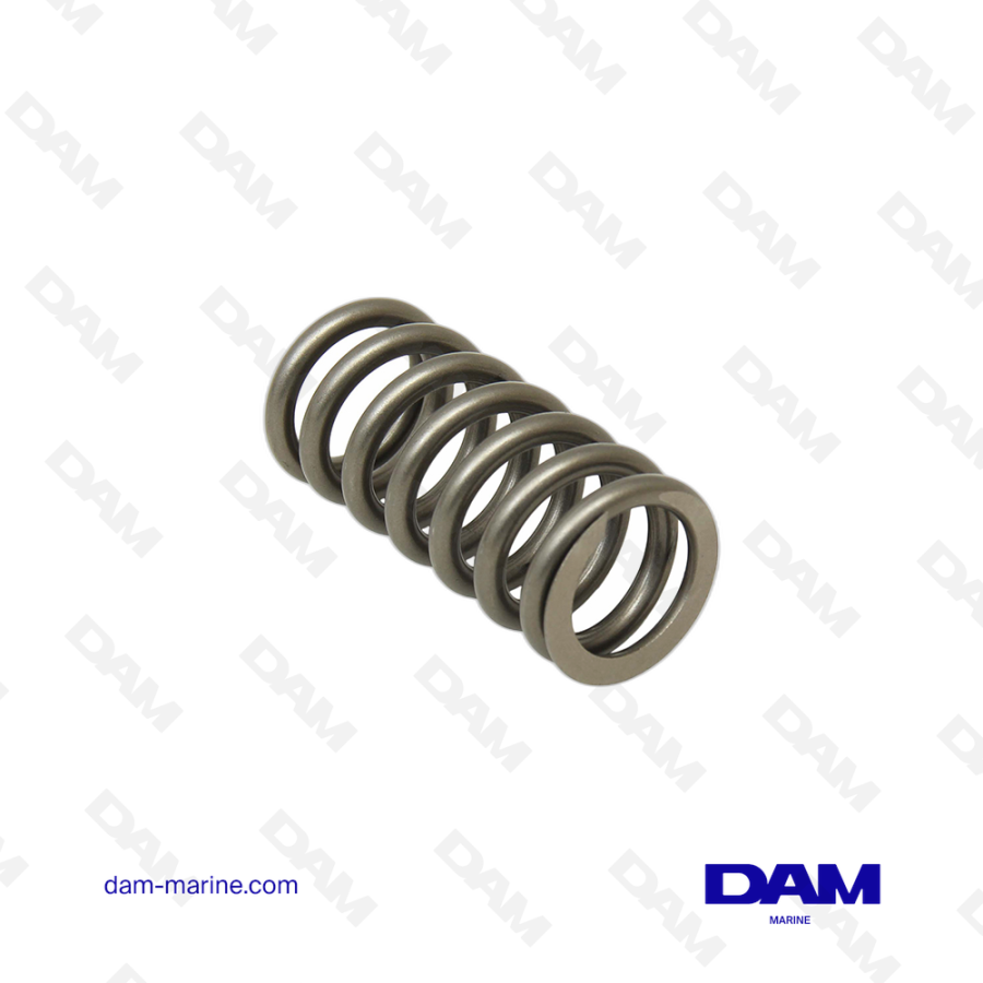VOLVO VALVE SPRING
