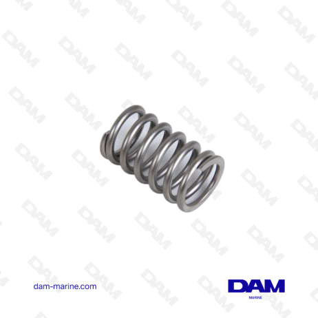 VOLVO VALVE SPRING