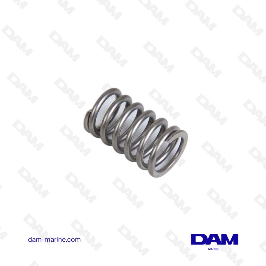 VOLVO VALVE SPRING