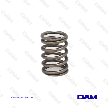 VOLVO VALVE SPRING