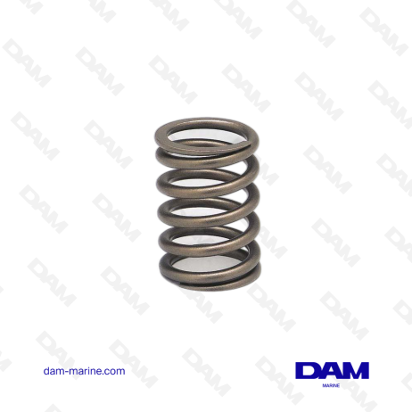 VOLVO VALVE SPRING