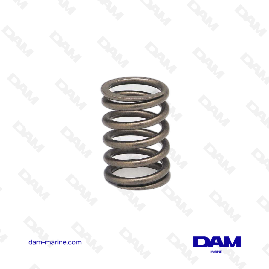 VOLVO VALVE SPRING